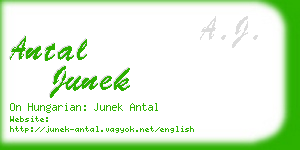 antal junek business card
